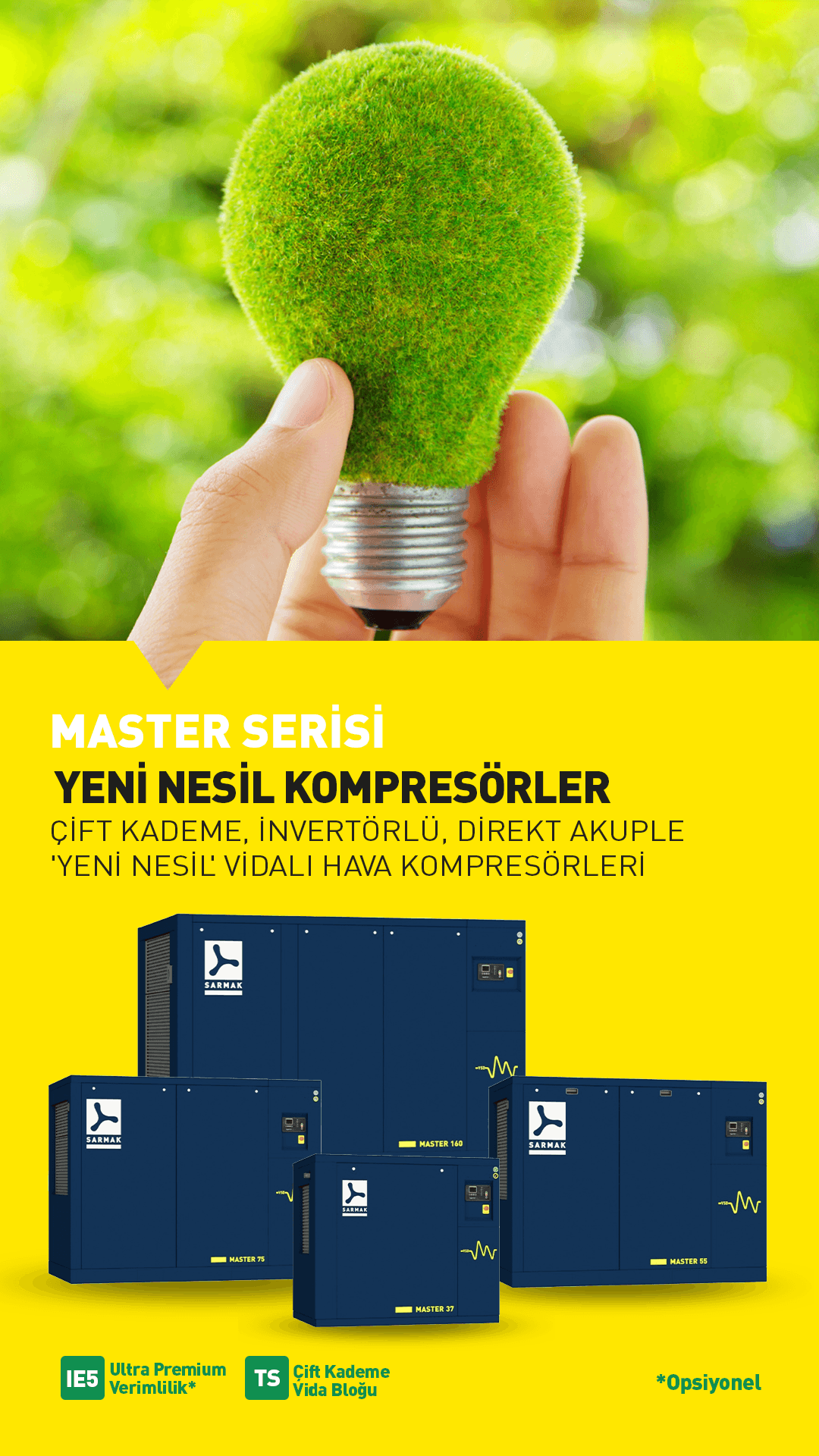 Sarmak